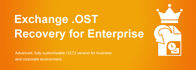 Advanced, fully customizable OST2 version for business and corporate environment.